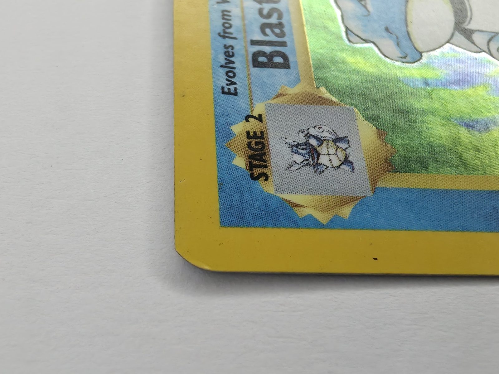 Blastoise detail