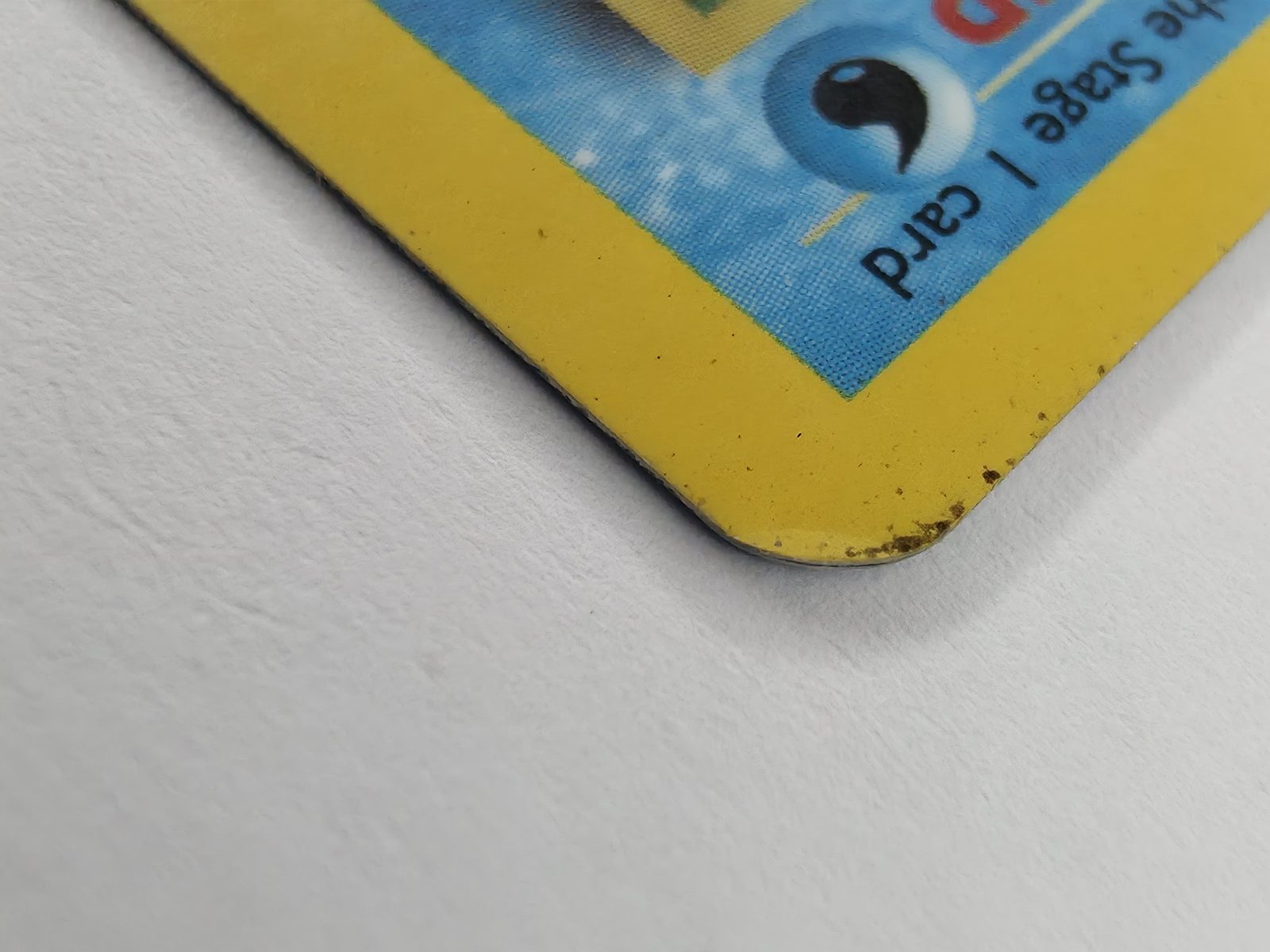 Blastoise detail