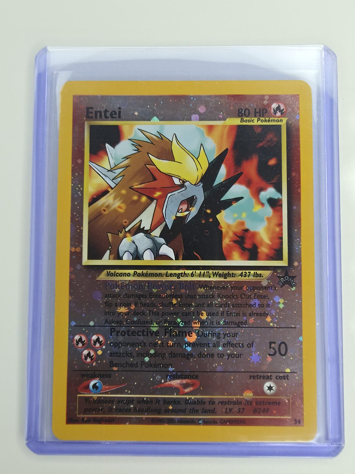Entei sleeved front