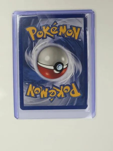 Gyarados sleeved back