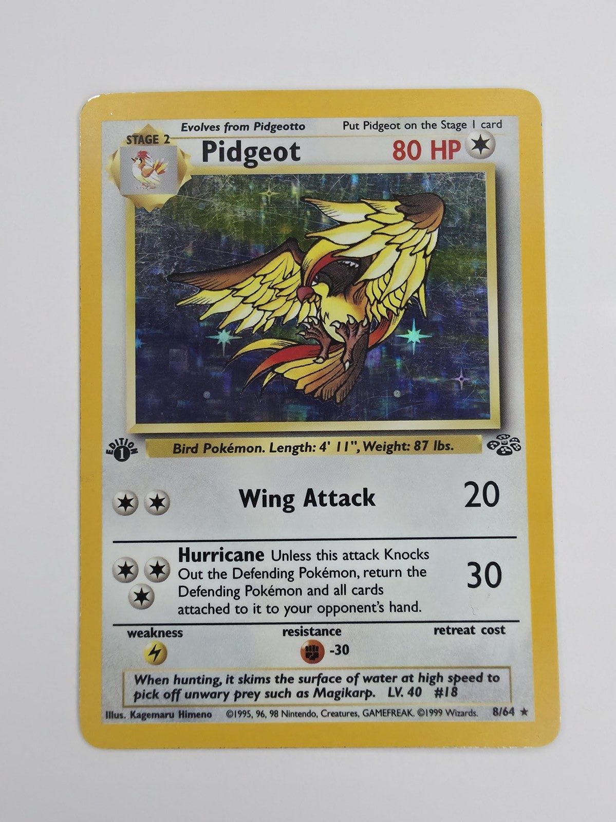 Pidgeot front