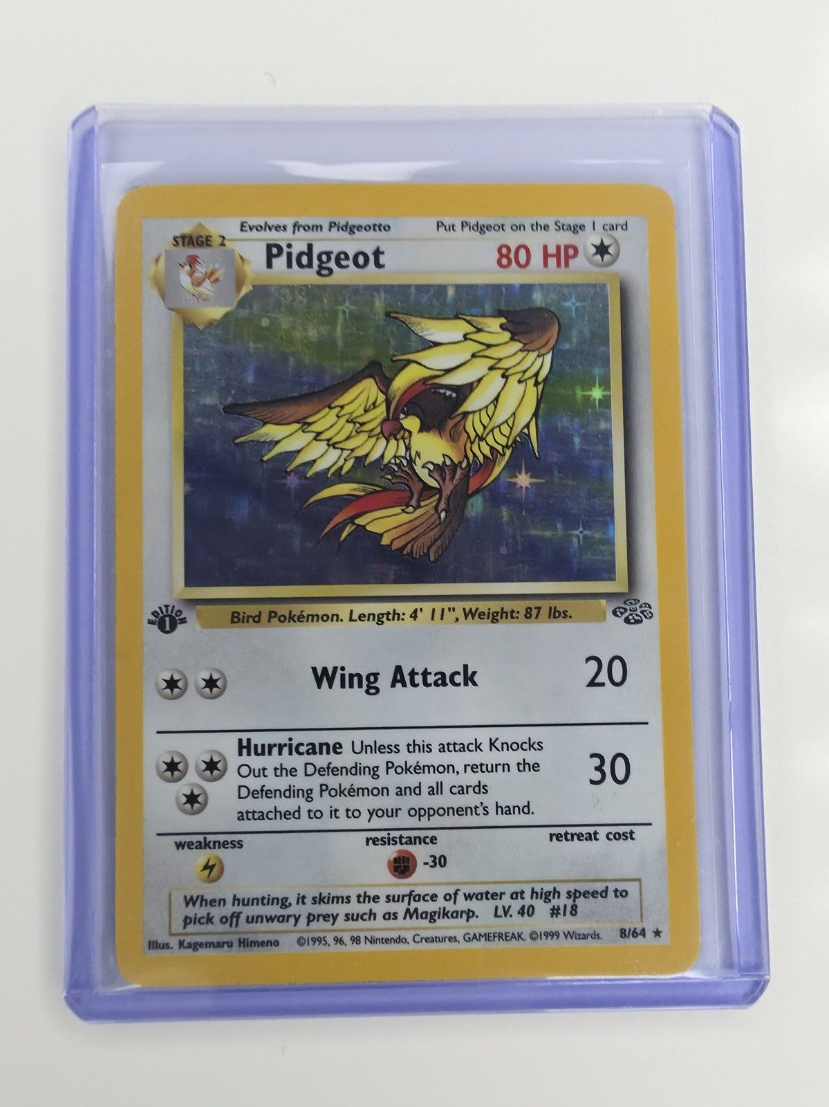 Pidgeot sleeved
