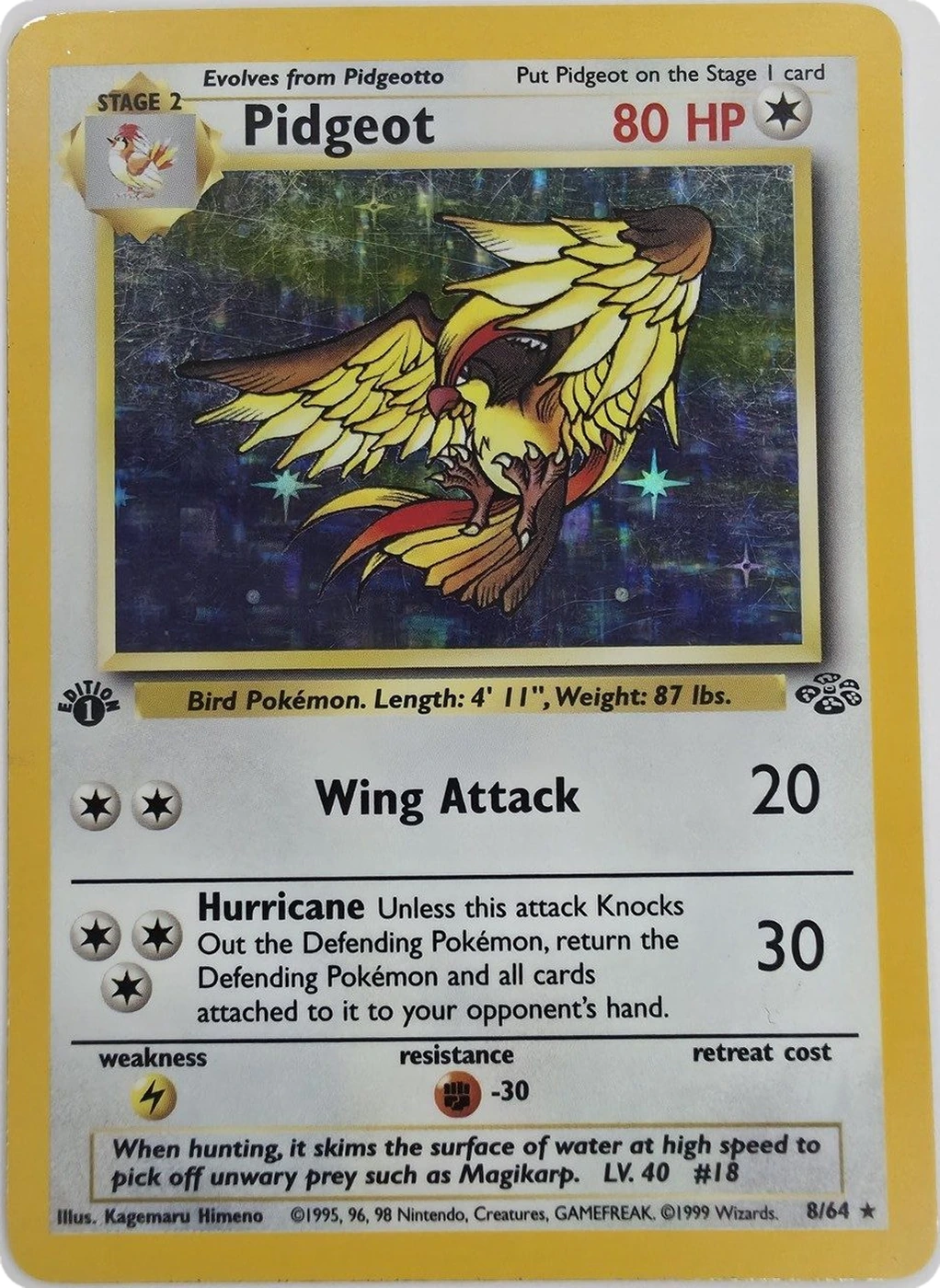 Pidgeot front