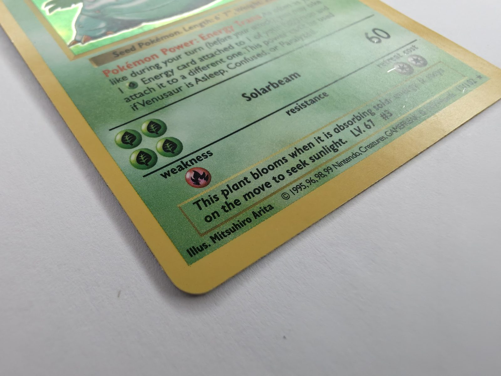 Venusaur holo angle close-up