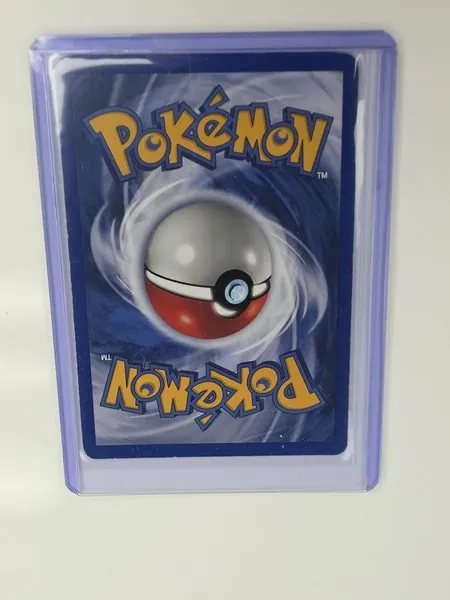 Zapdos sleeved back